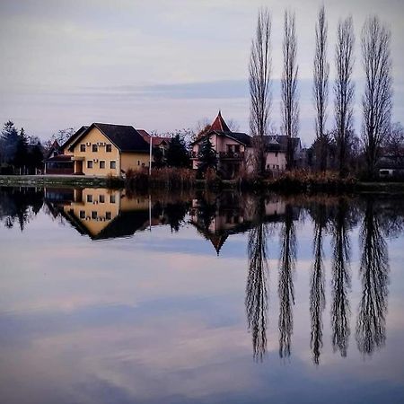 Guest House Vila Alexandar Palic Luaran gambar