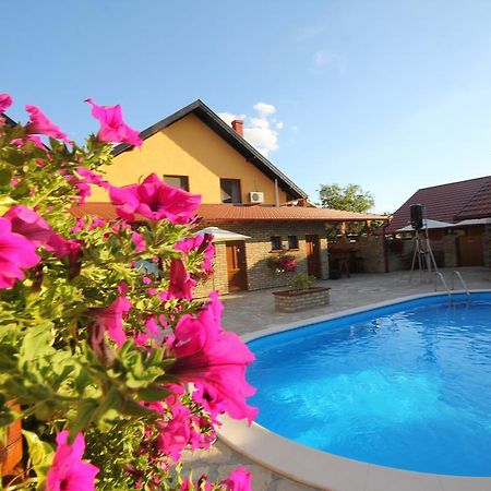 Guest House Vila Alexandar Palic Luaran gambar