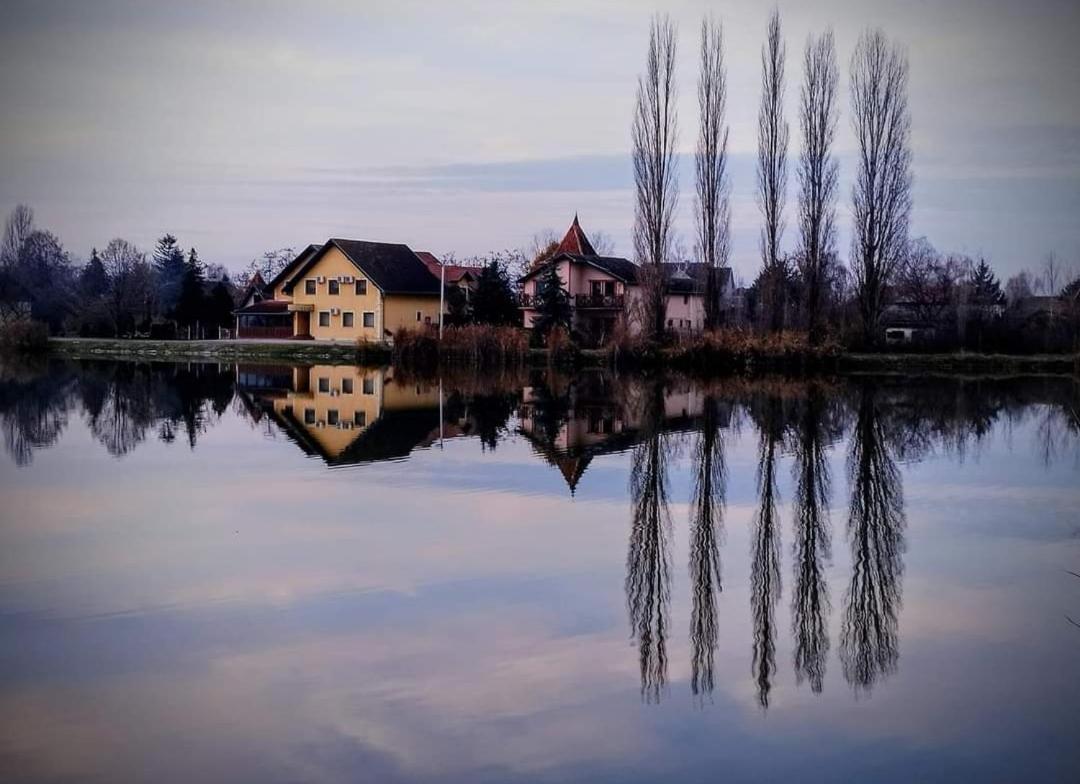Guest House Vila Alexandar Palic Luaran gambar